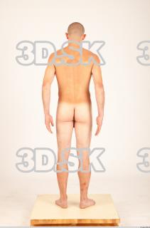 Body texture of Hanus 0020